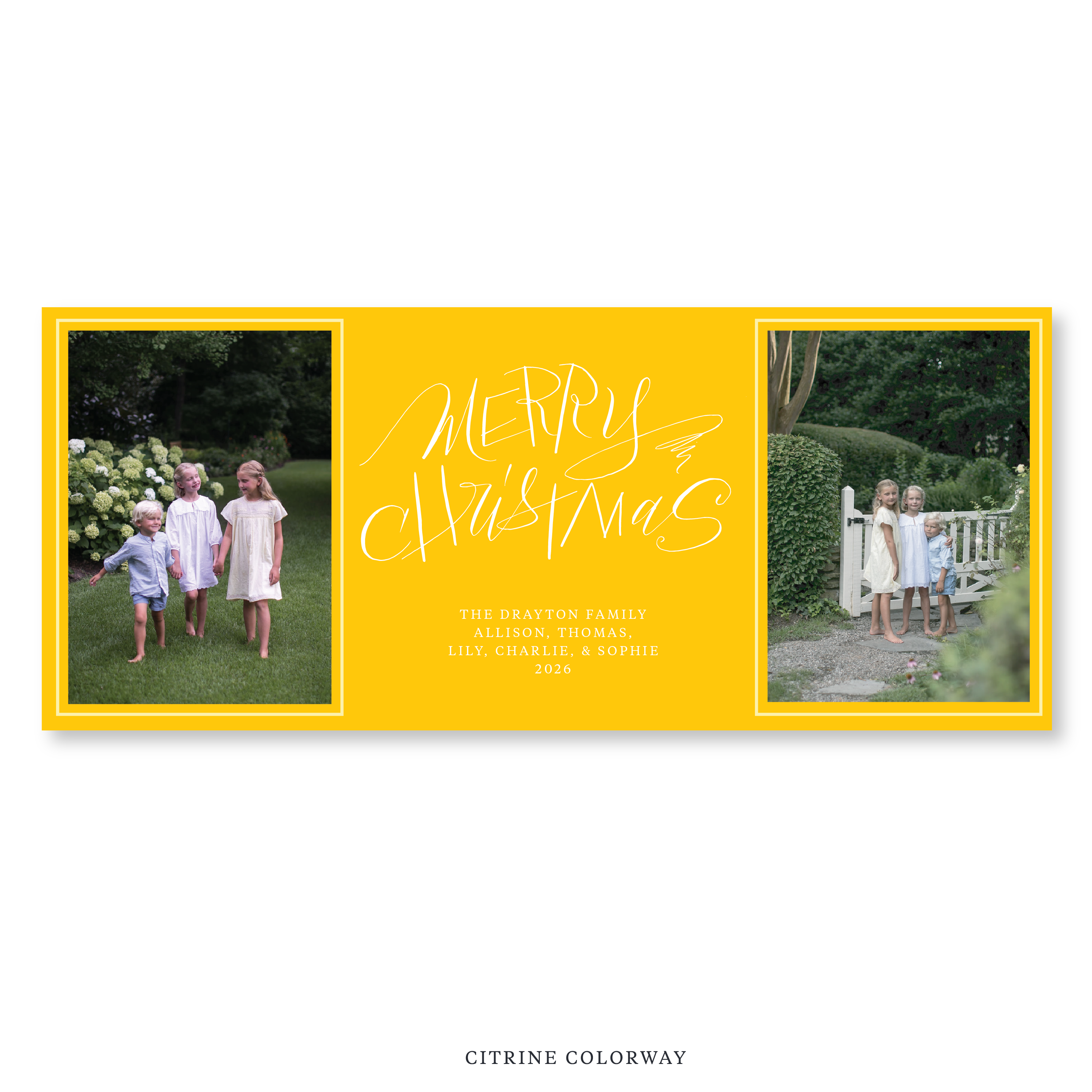 Larkin Digital Photo Holiday Card, Skinny