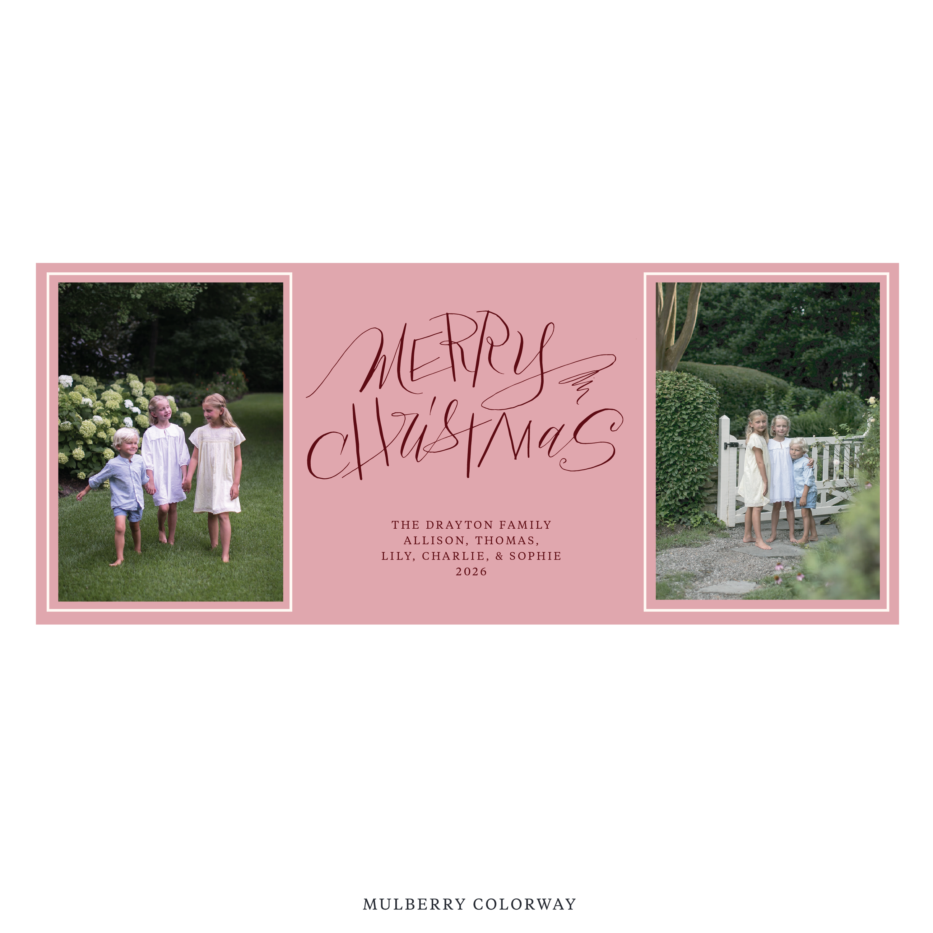 Larkin Digital Photo Holiday Card, Skinny
