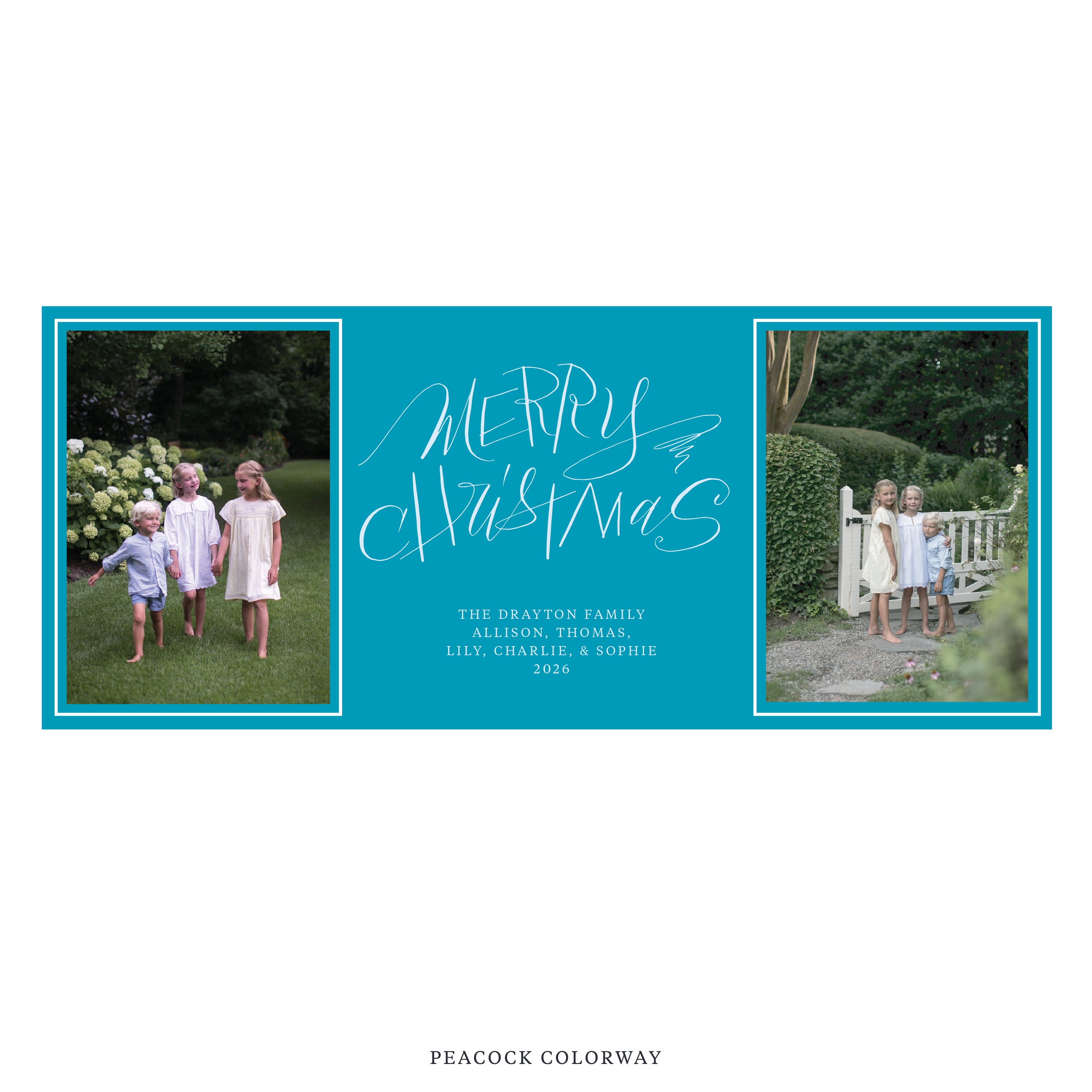 Larkin Digital Photo Holiday Card, Skinny