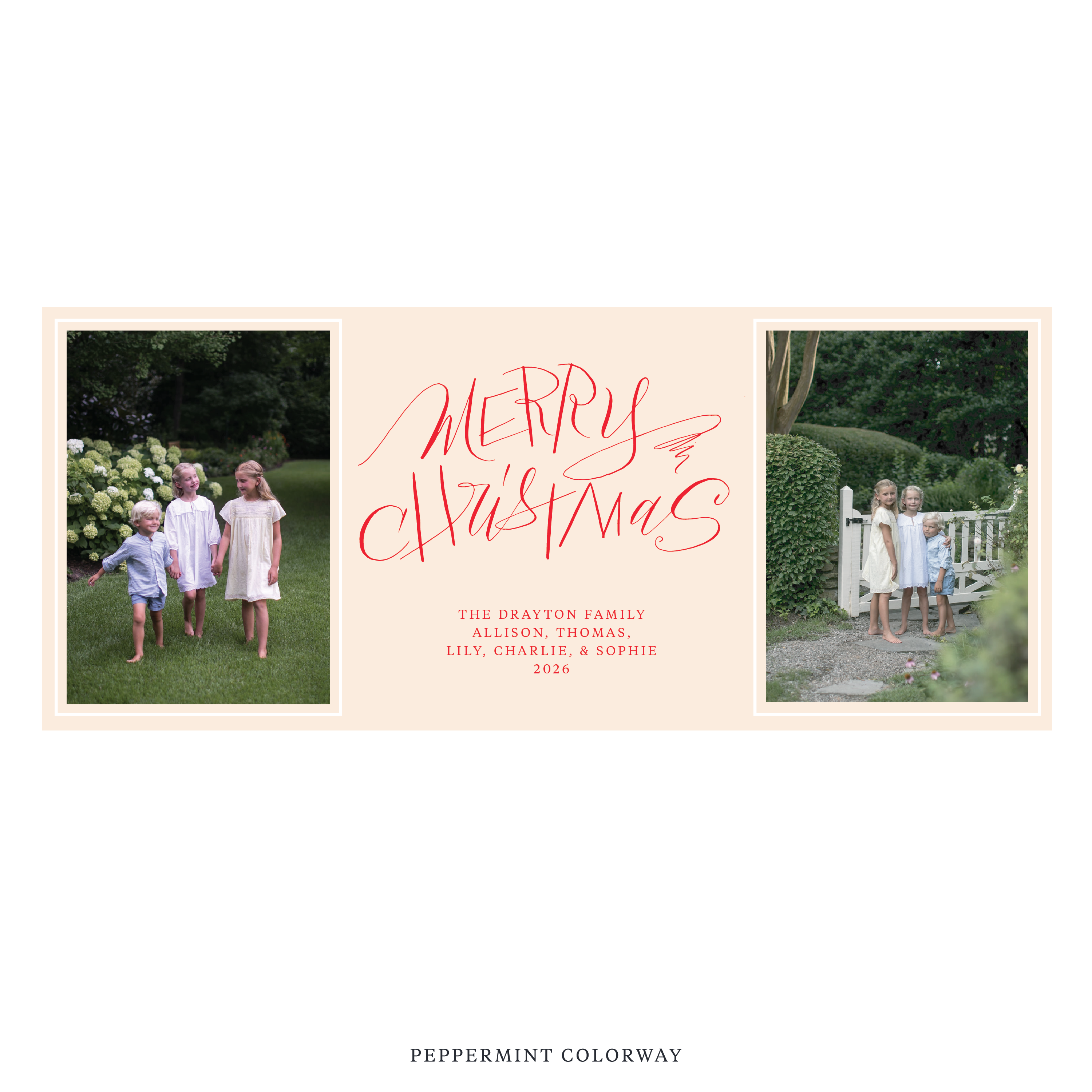 Larkin Digital Photo Holiday Card, Skinny