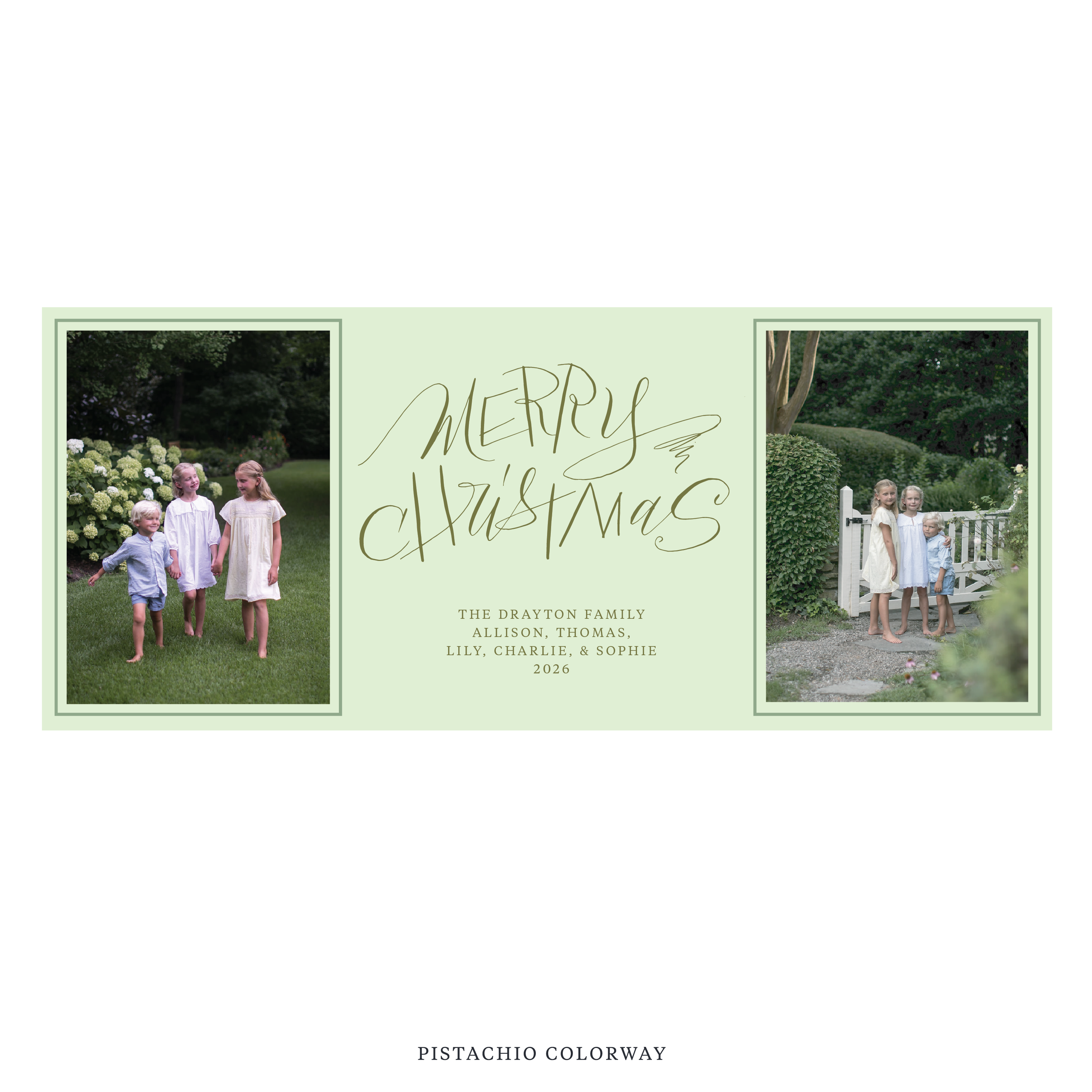 Larkin Digital Photo Holiday Card, Skinny