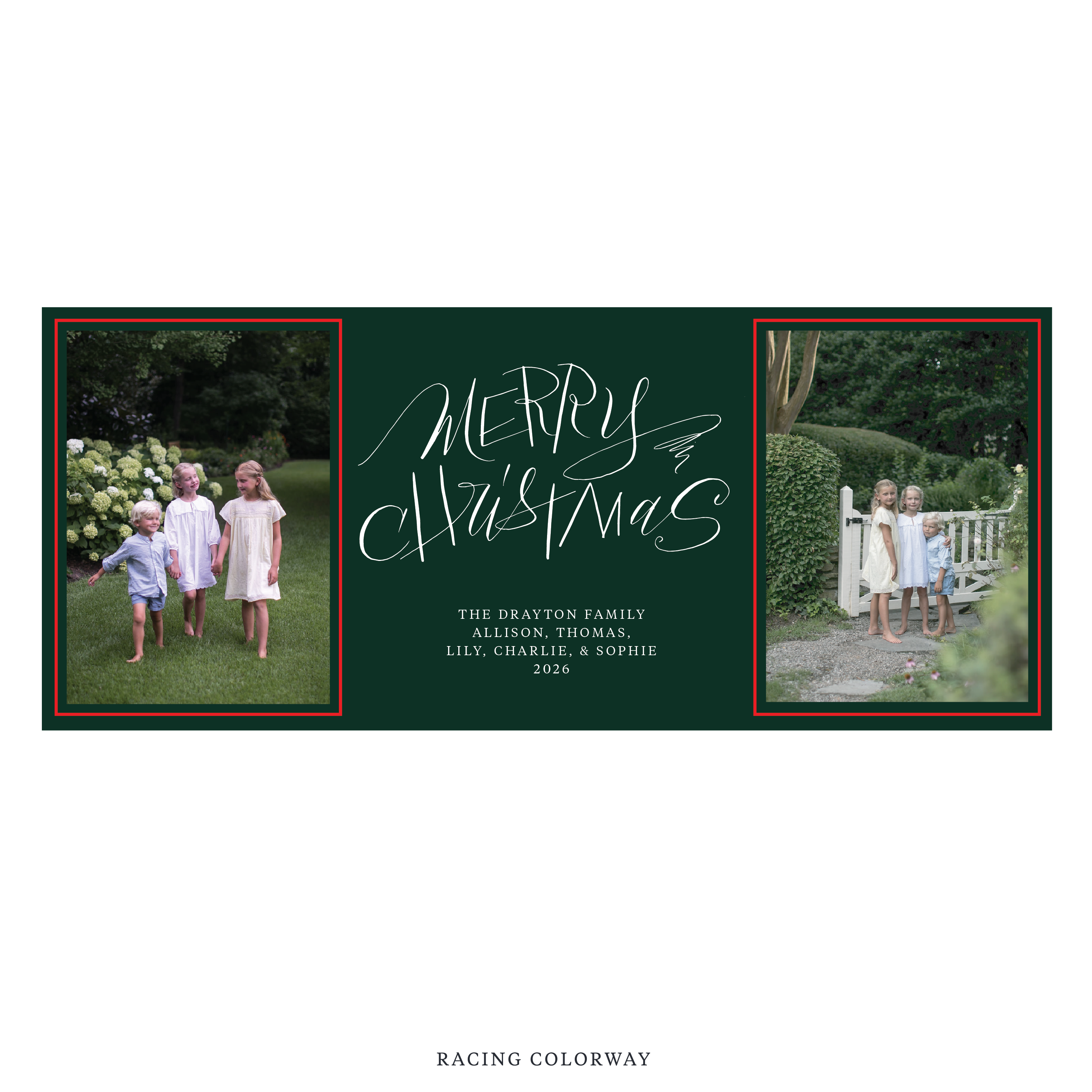 Larkin Digital Photo Holiday Card, Skinny
