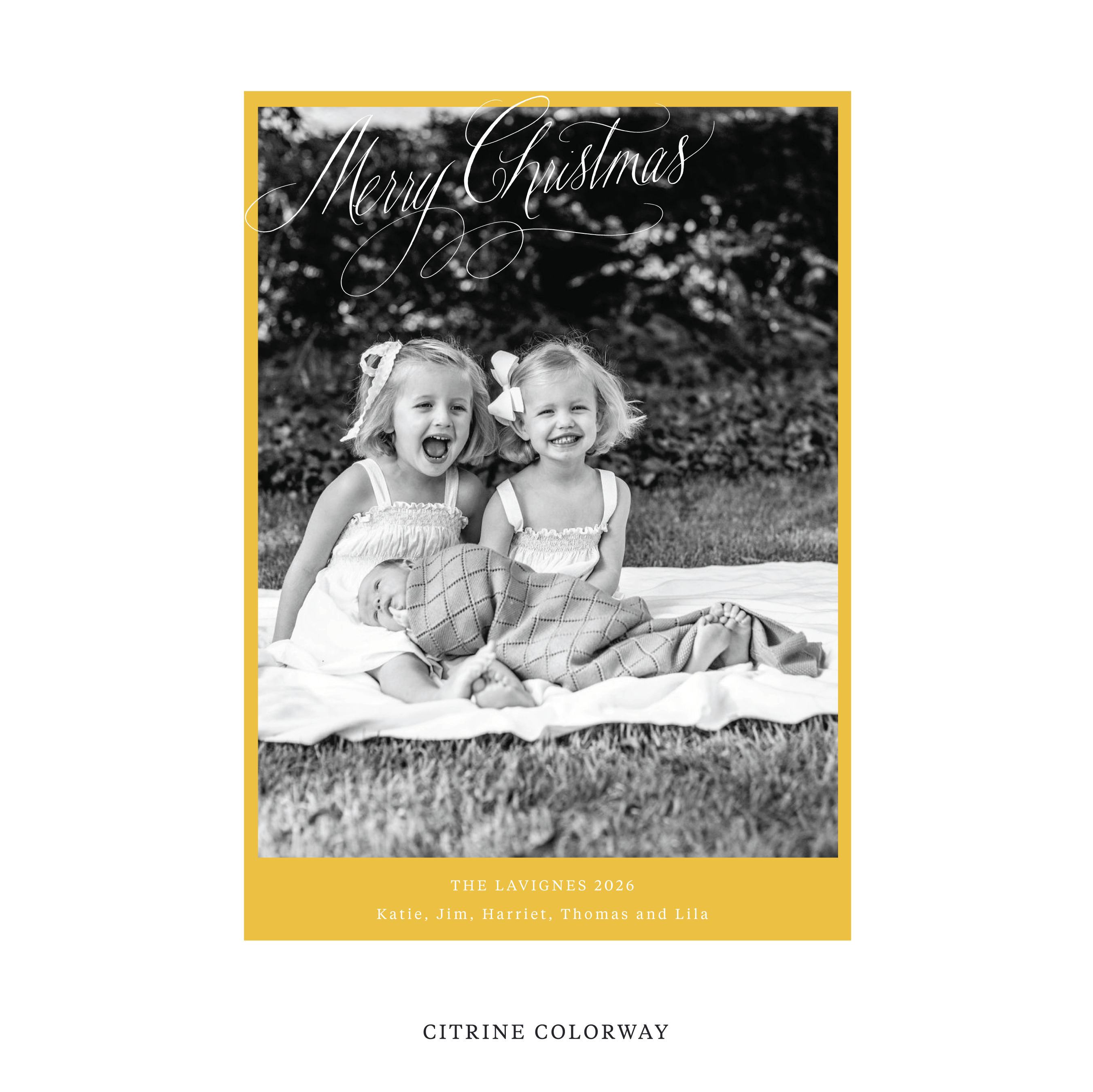 Celebrate the season with the Lavigne "Merry Christmas" Holiday Card by Stovall Collection. Featuring original hand-lettered artwork, this luxury personalized photo mount holiday card is available in 22 thoughtfully curated flat printing colorways.