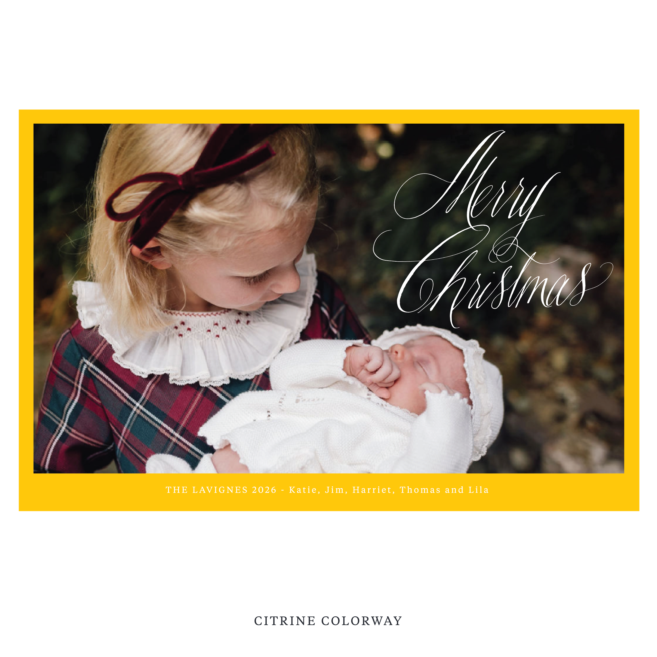 Lavigne Digital Photo Holiday Card, Extra Large