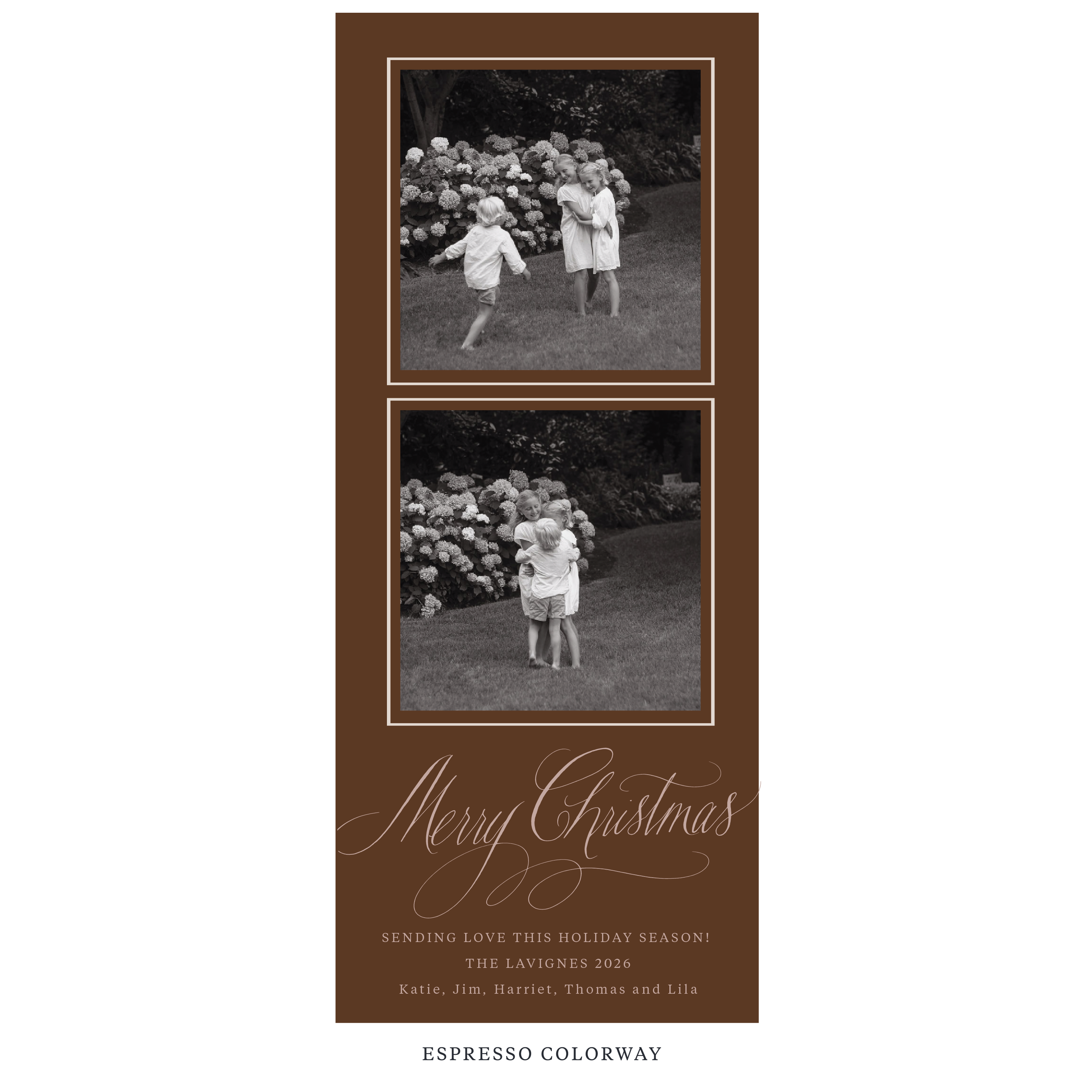 Lavigne Digital Photo Holiday Card, Skinny