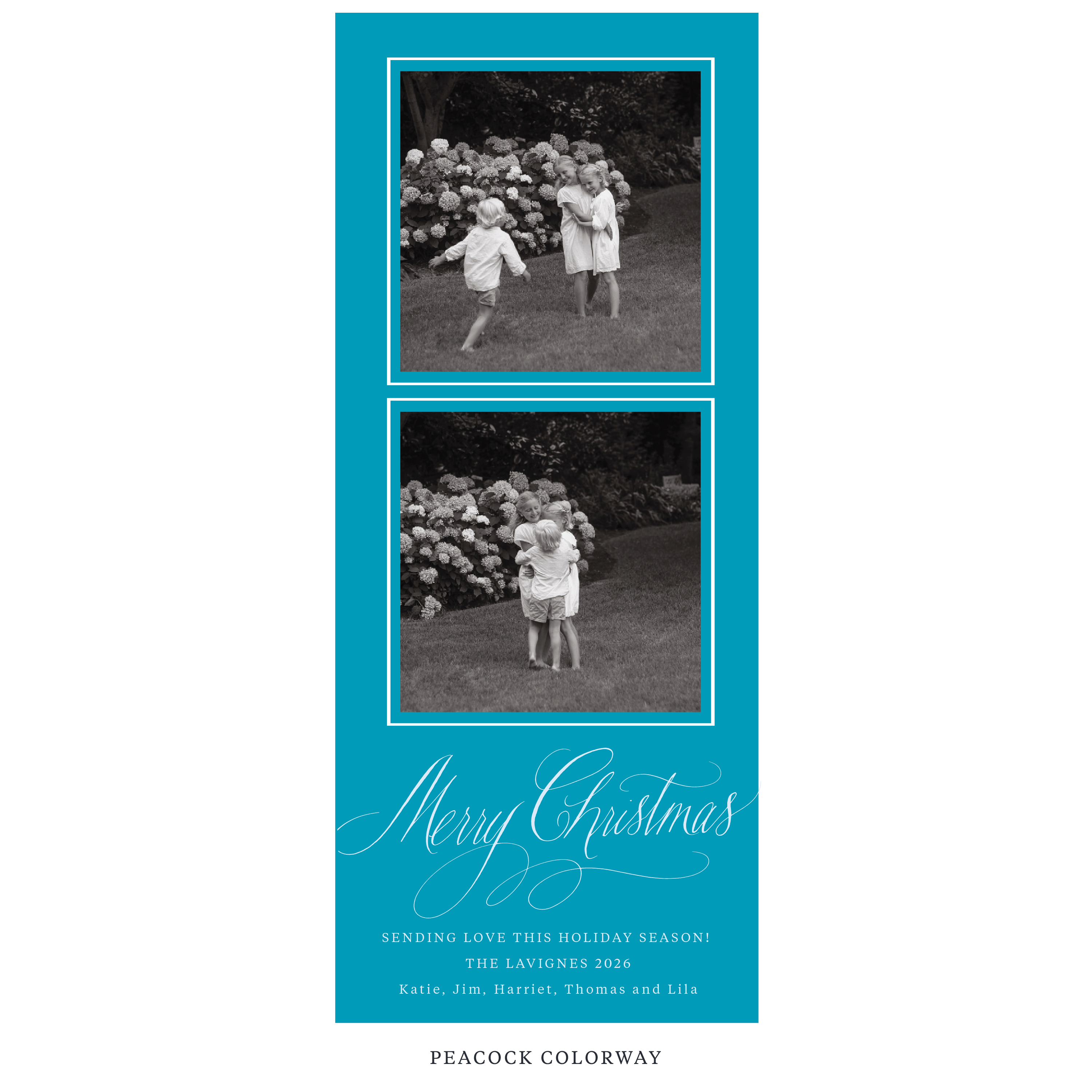 Lavigne Digital Photo Holiday Card, Skinny