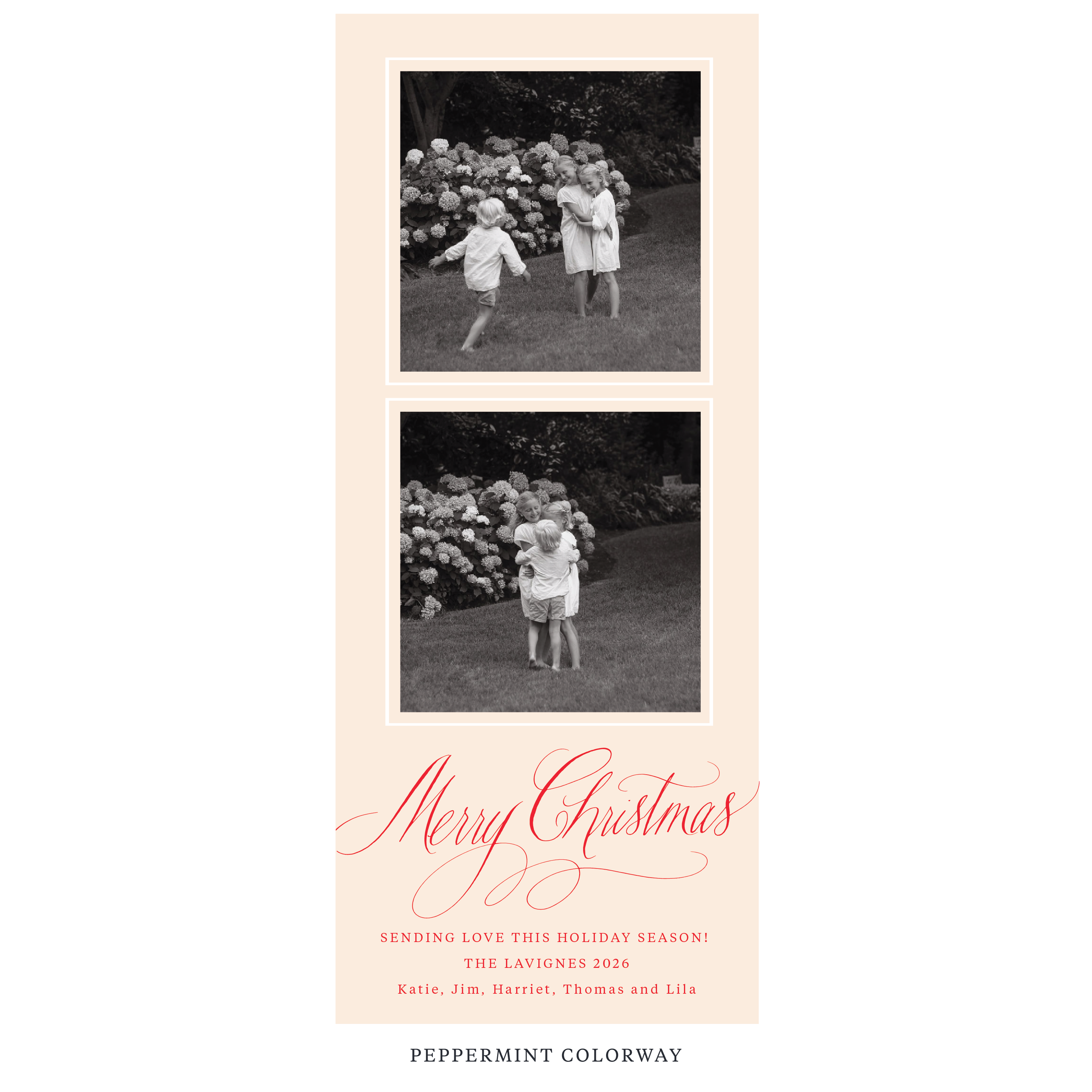 Lavigne Digital Photo Holiday Card, Skinny