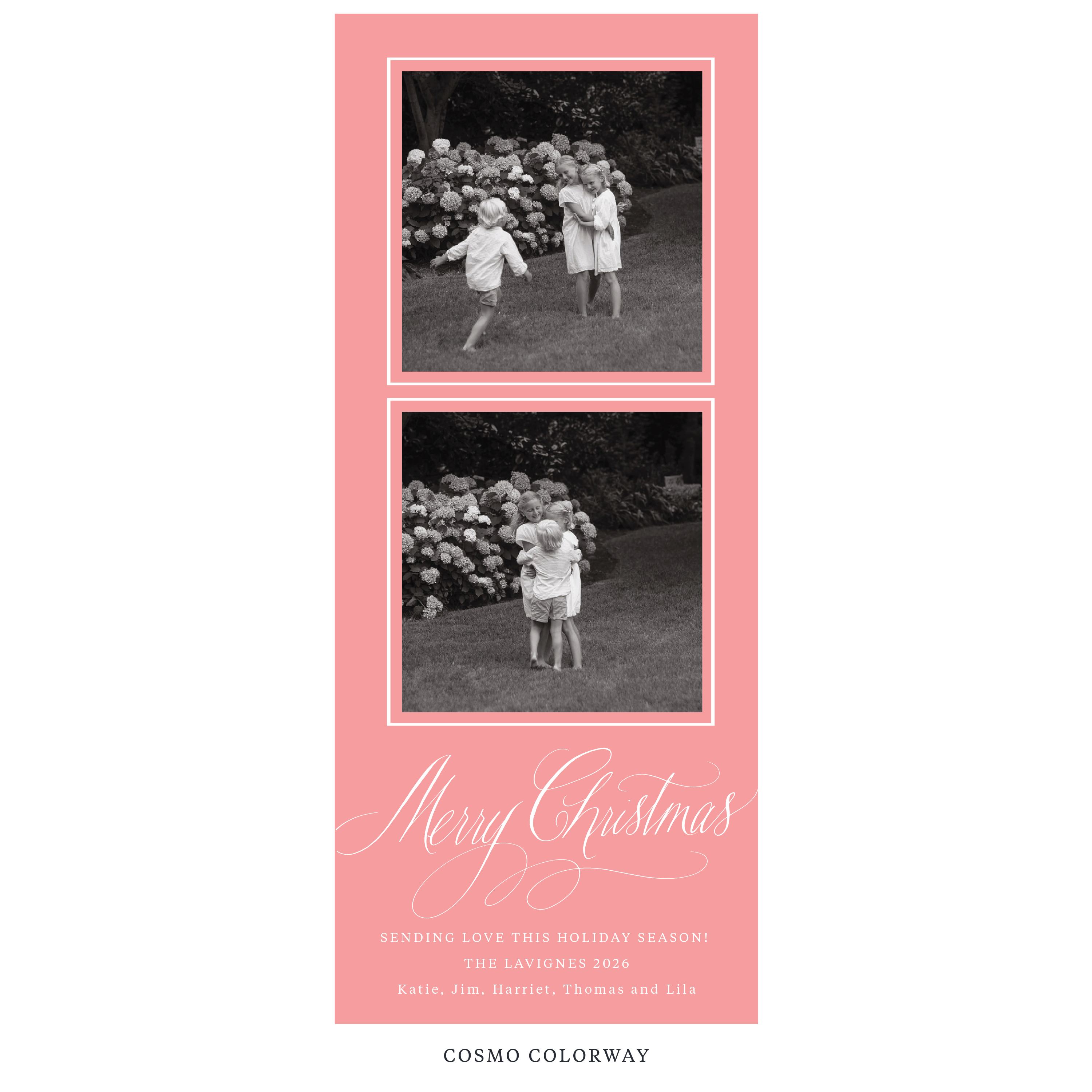 Lavigne Digital Photo Holiday Card, Skinny