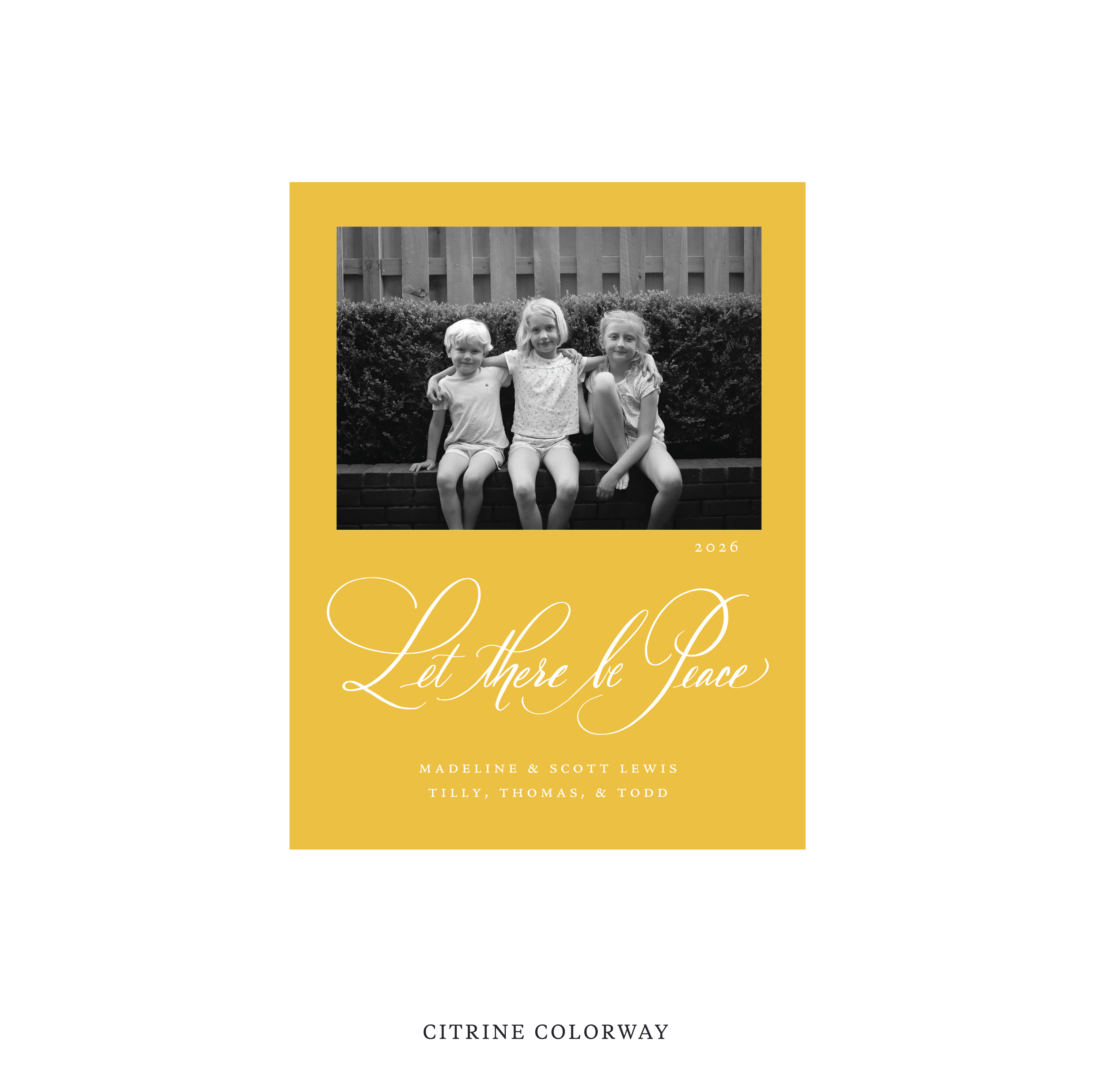Lewis Classic Flat Print Holiday Card, Small