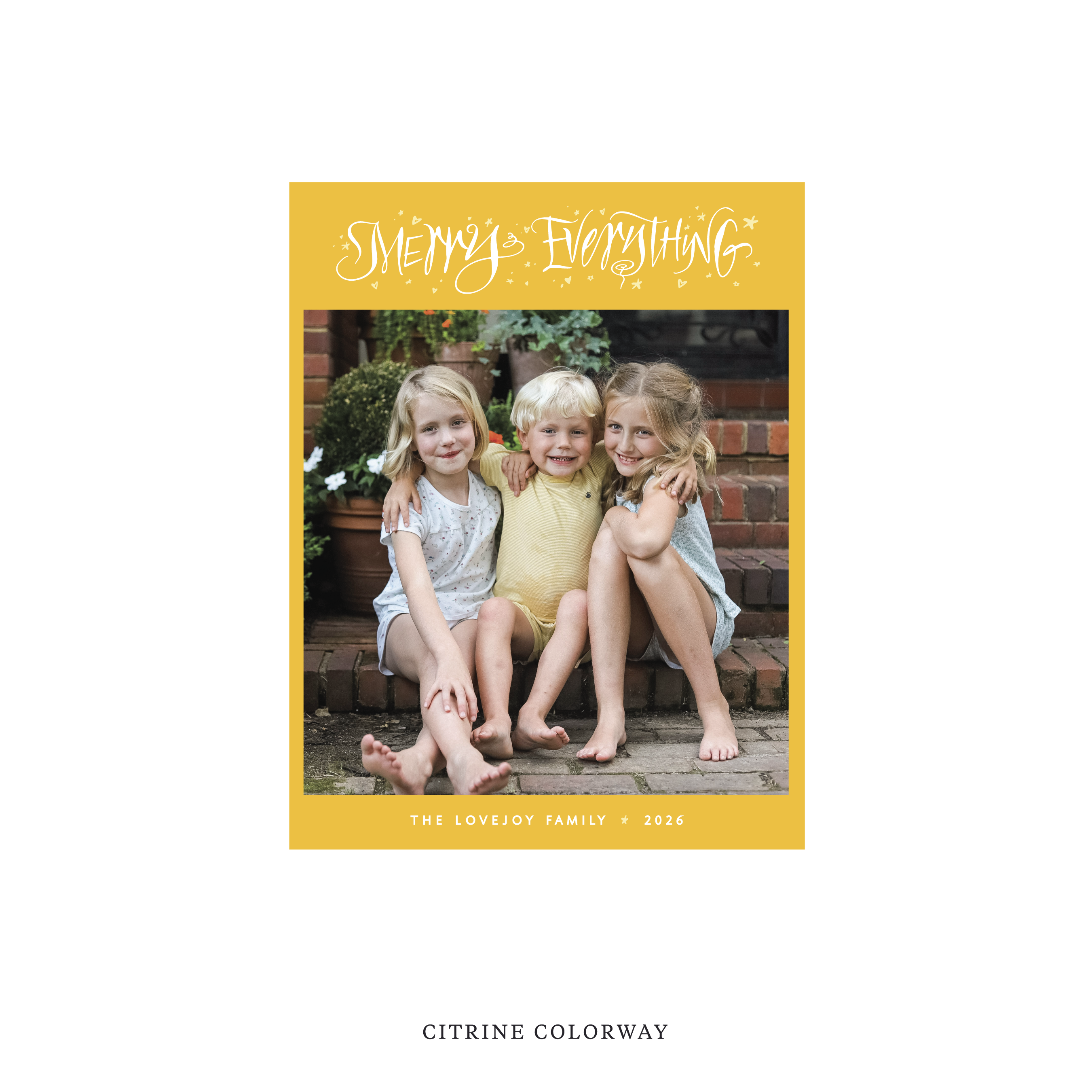 Ansley Classic Flat Print Holiday Card, Small