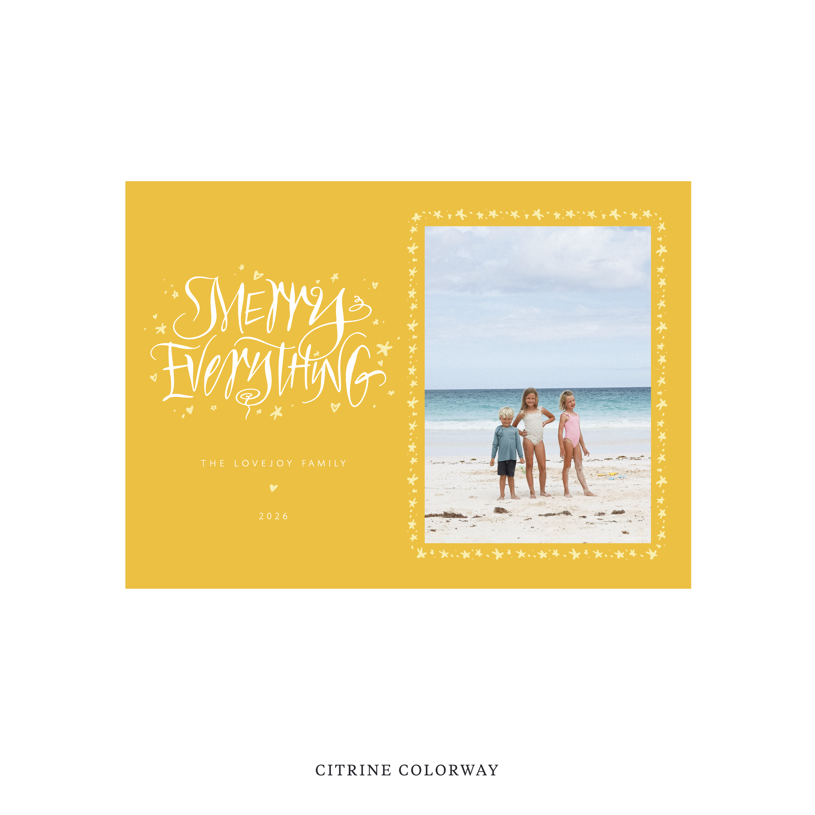 Ansley Classic Flat Print Holiday Card, Medium