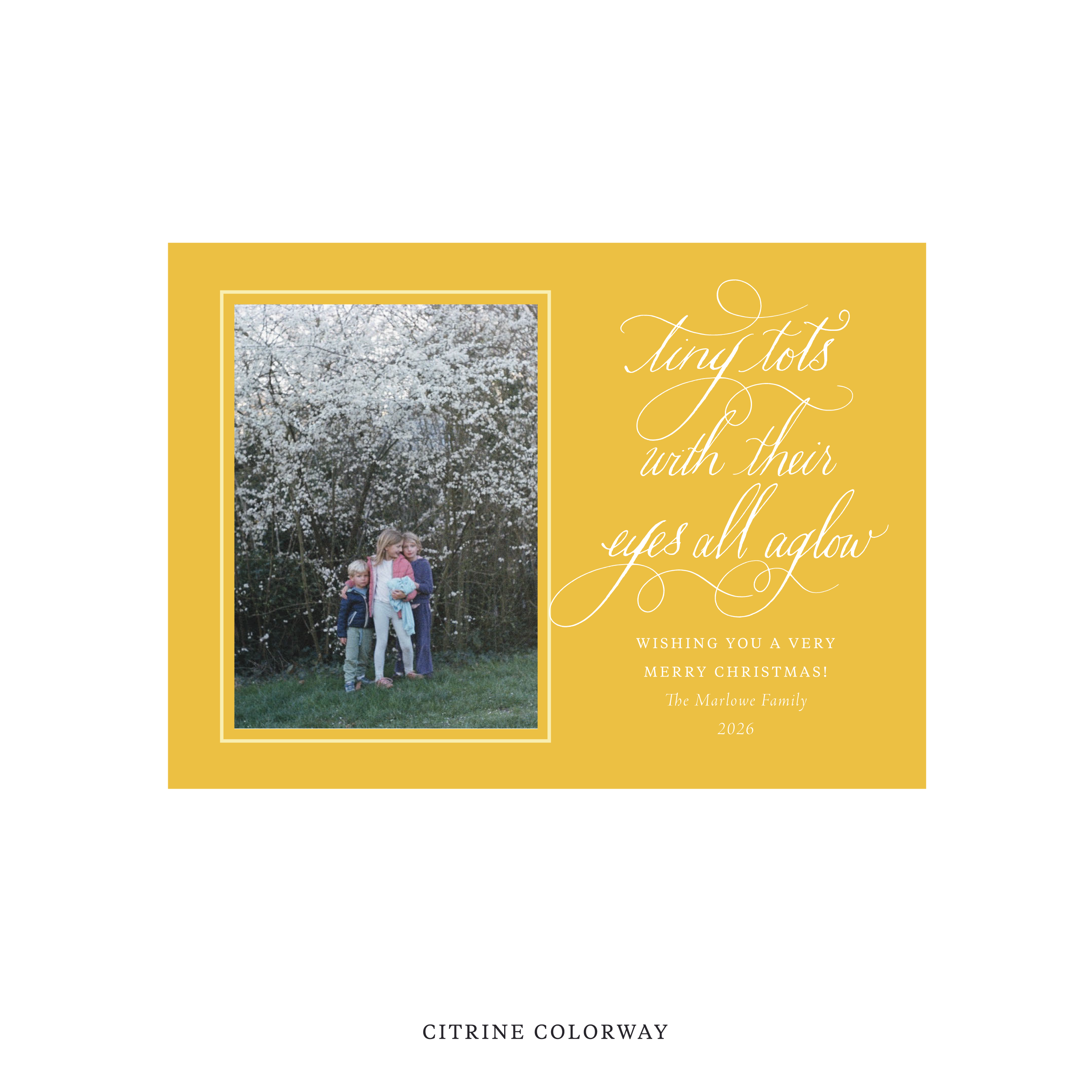 Bexley Classic Flat Print Holiday Card, Medium