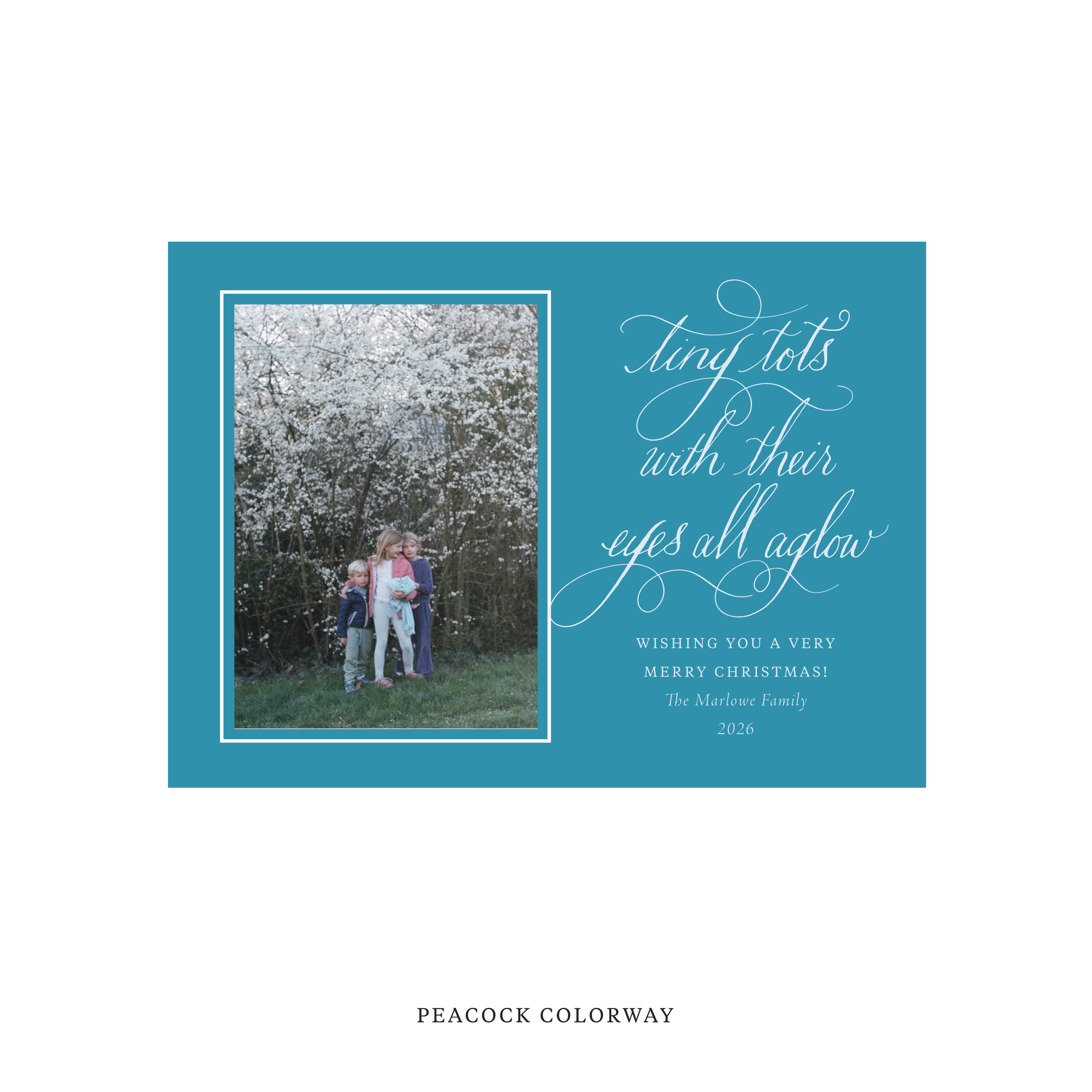 Bexley Classic Flat Print Holiday Card, Medium