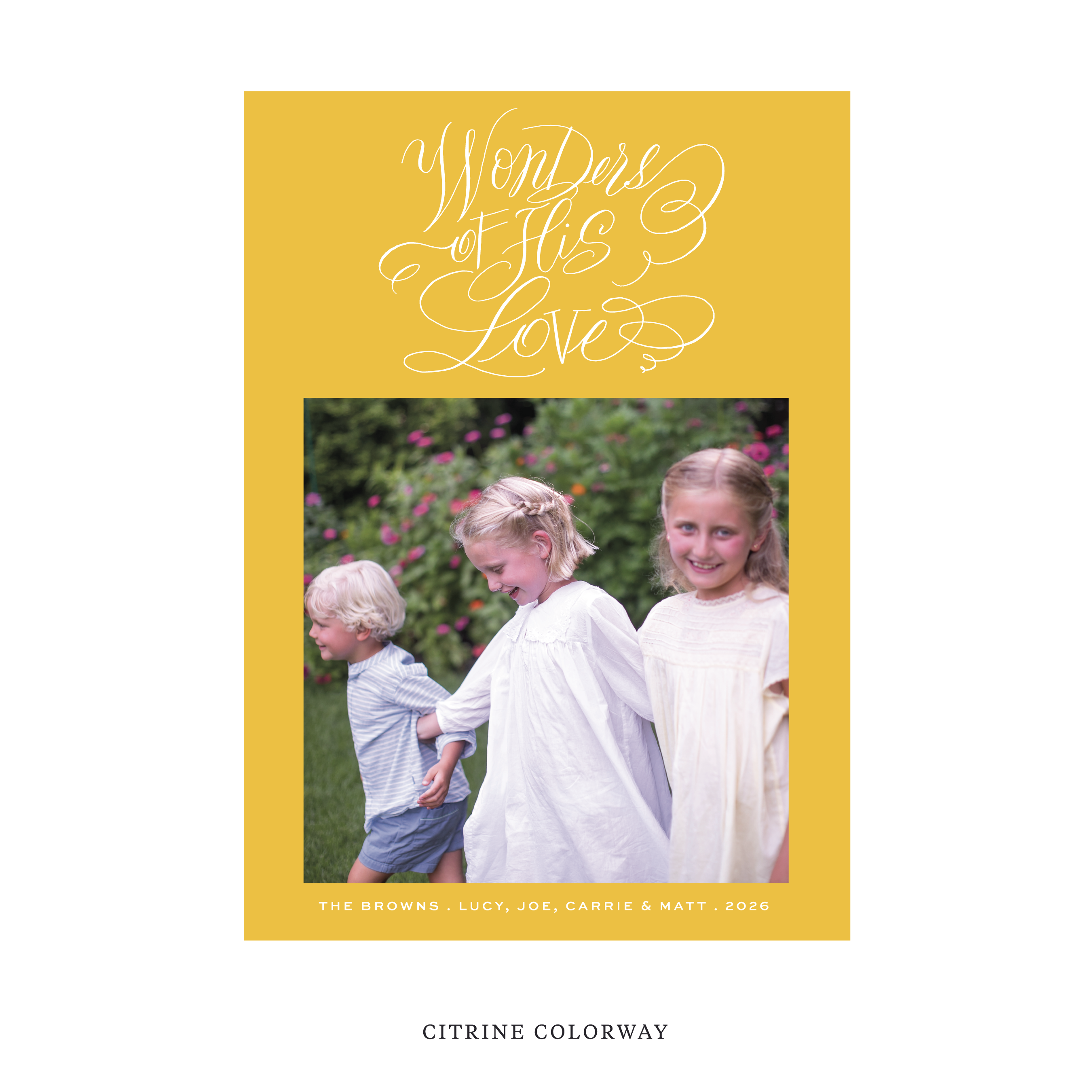 Merriweather Classic Flat Print Holiday Card, Large (Elegant)