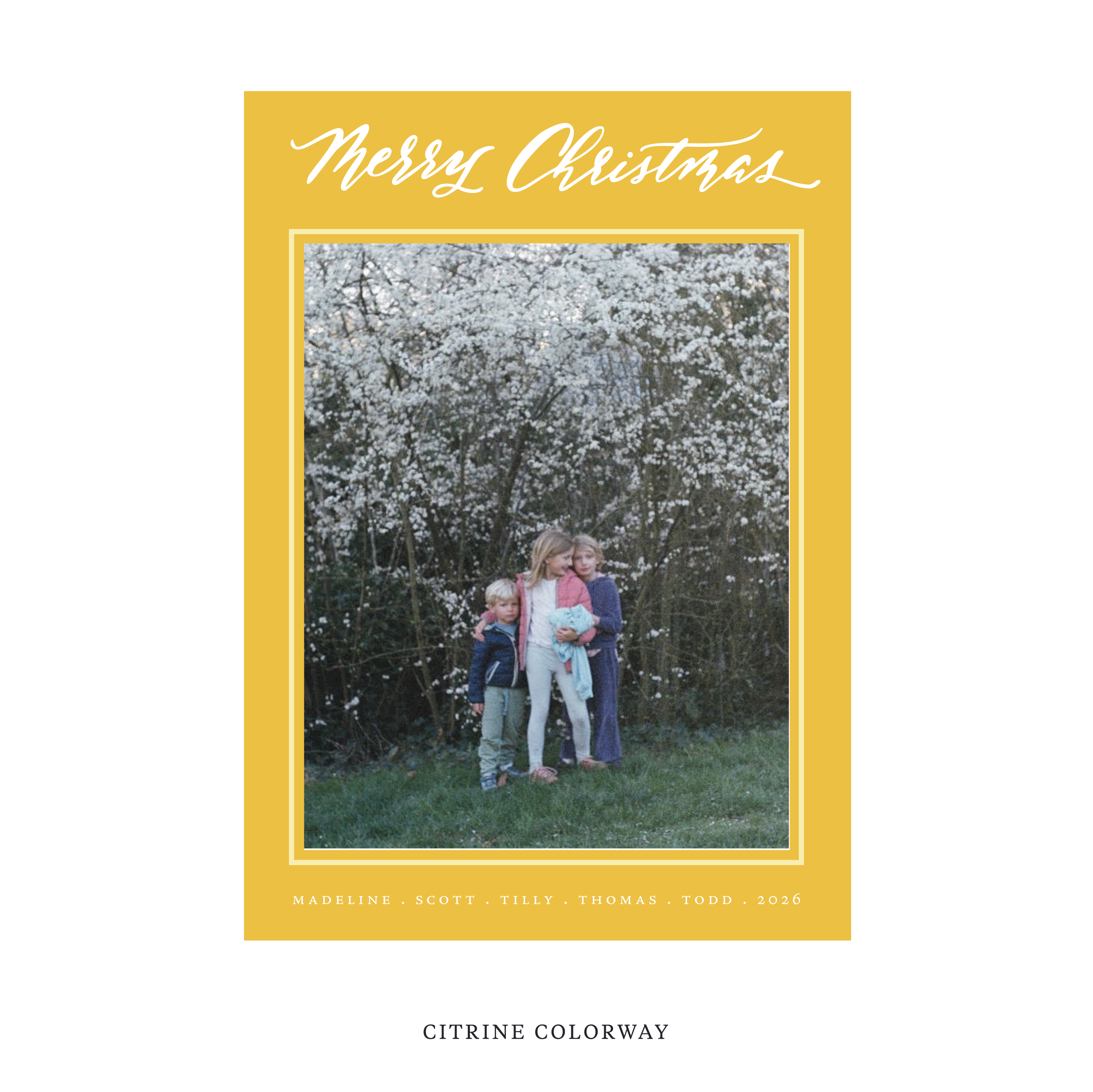 Monterey Classic Flat Print Holiday Card, Large