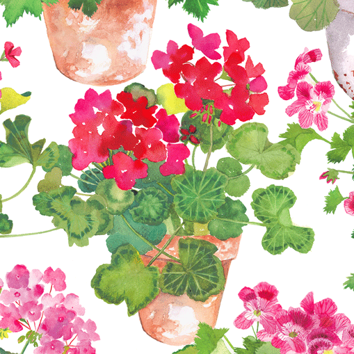 Trailing Geranium Paper Cocktail Napkins