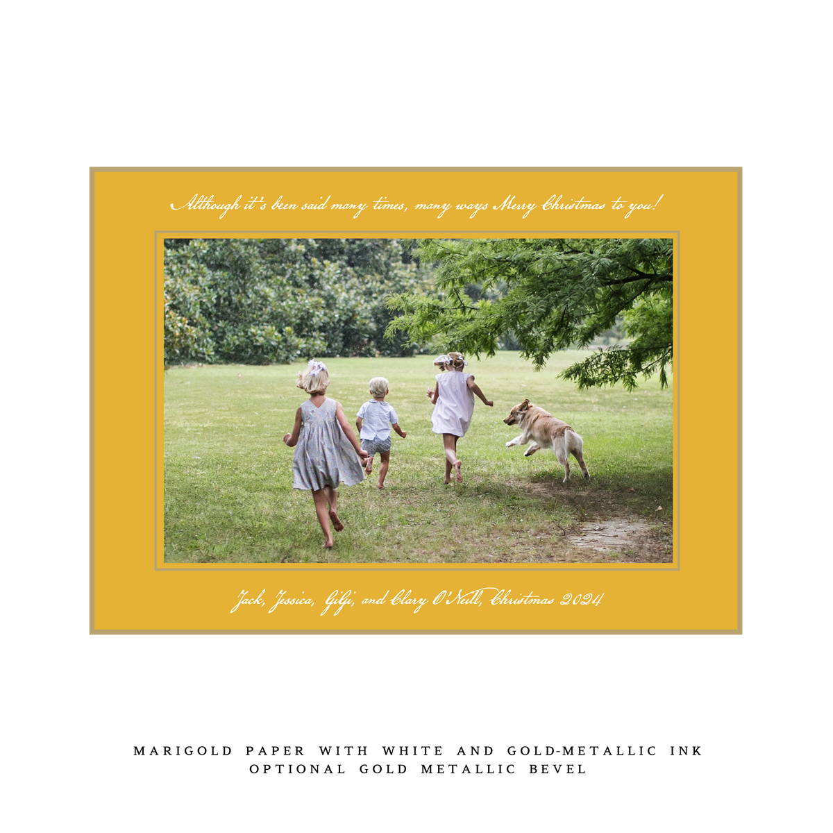 Neptune Medium Luxe Holiday Card (Archive)