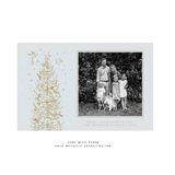 Pierre 1-Color Engraved Large Holiday Card