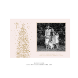 Pierre 1-Color Engraved Large Holiday Card