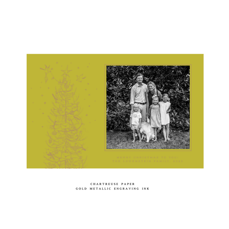 Pierre 1-Color Engraved Large Holiday Card