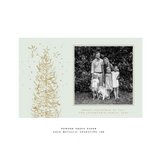 Pierre 1-Color Engraved Large Holiday Card