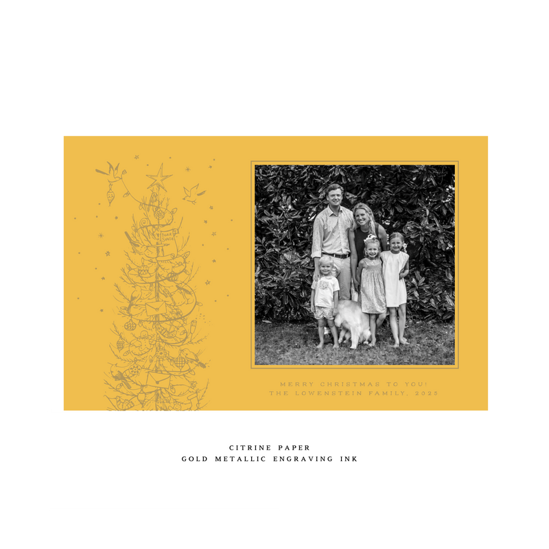 Pierre 1-Color Engraved Large Holiday Card