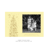 Pierre 1-Color Engraved Large Holiday Card