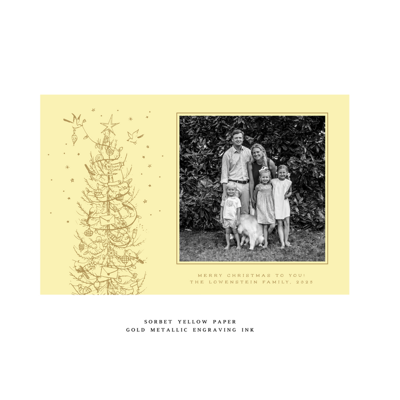 Pierre 1-Color Engraved Large Holiday Card