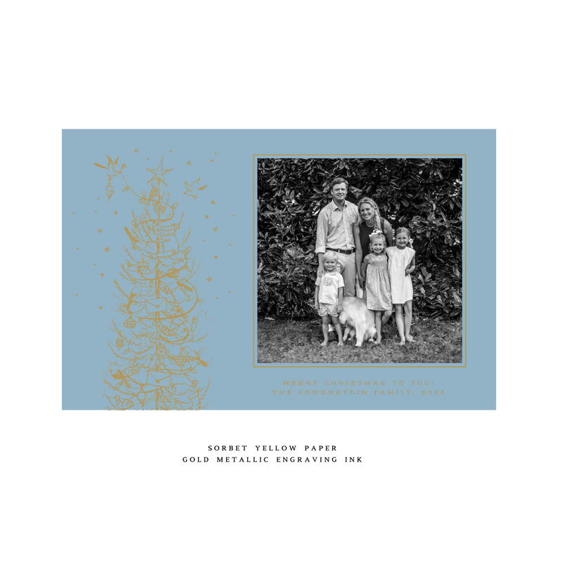 Pierre 1-Color Engraved Large Holiday Card