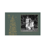 Pierre 1-Color Engraved Large Holiday Card