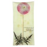 John Derian “Pink Poppy” 6" x 12" Rectangular Pencil Tray
