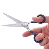 Stainless Steel Scissors