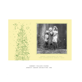 Pierre Letterpress Large Holiday Card