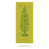 Pierre Letterpress Large Holiday Card (No Photo)