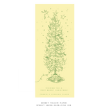 Pierre Letterpress Large Holiday Card (No Photo)