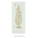 Pierre Engraved Large Holiday Card (No Photo)