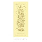 Pierre Engraved Large Holiday Card (No Photo)