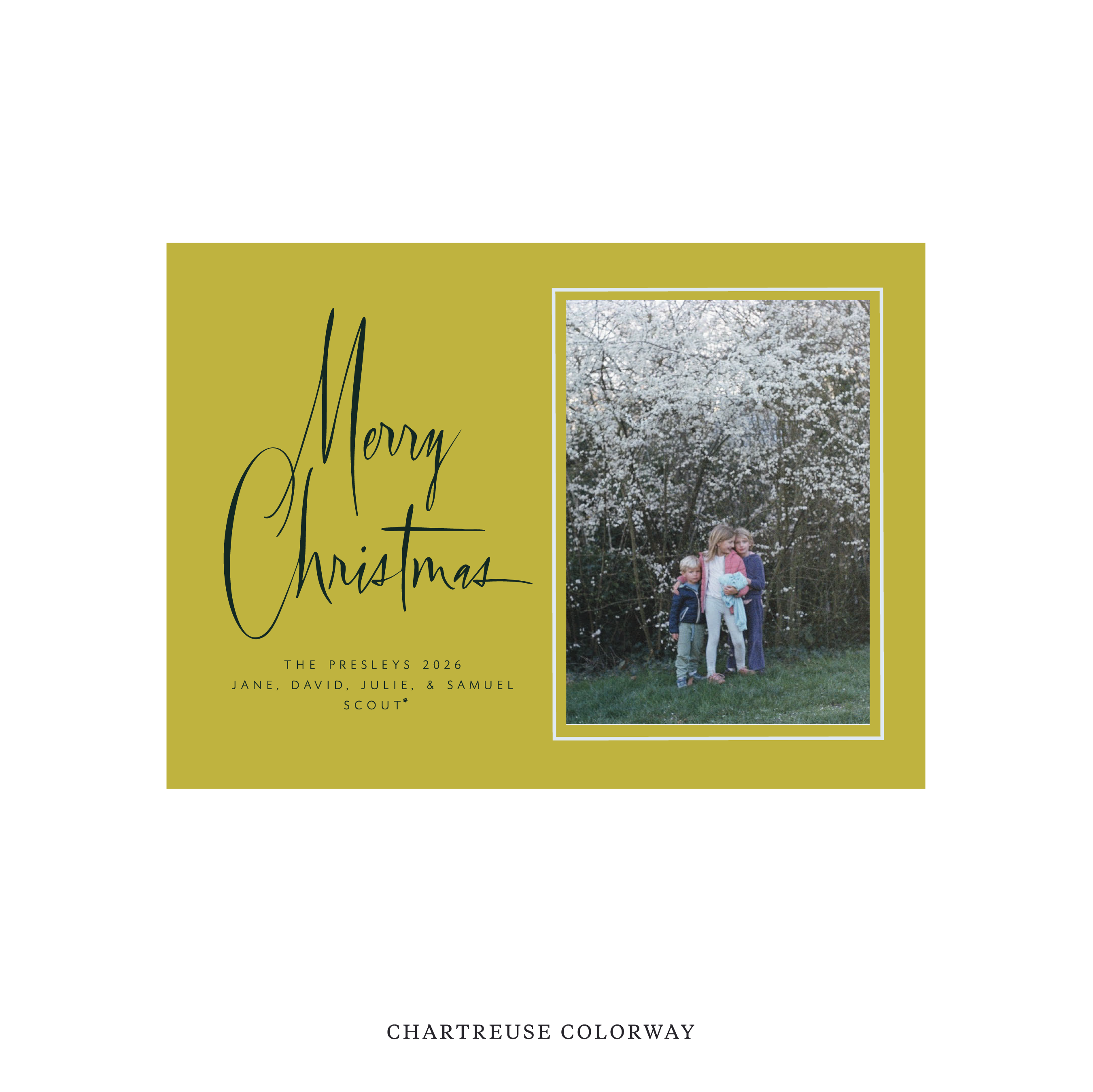 Presley Classic Flat Print Holiday Card, Medium