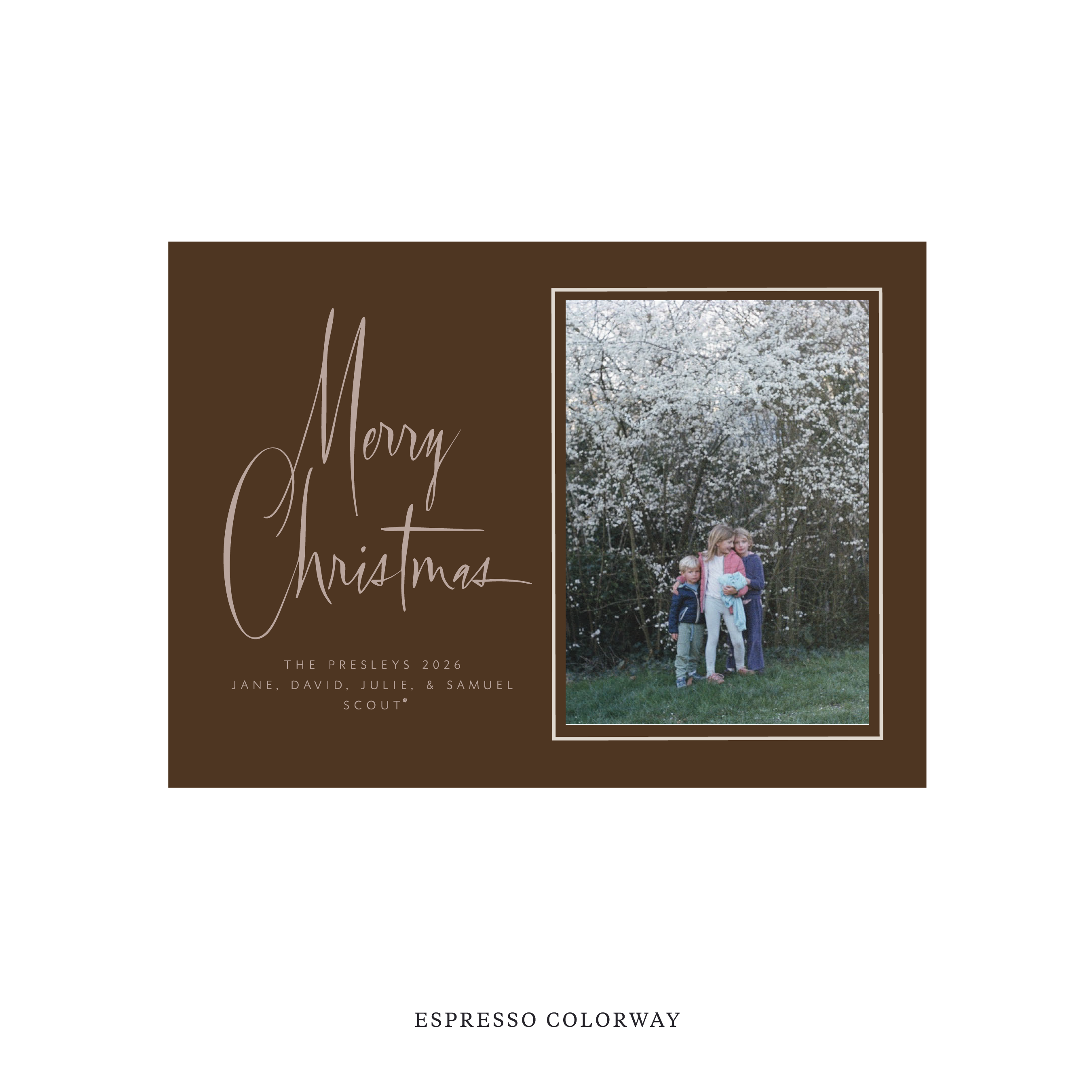 Presley Classic Flat Print Holiday Card, Medium