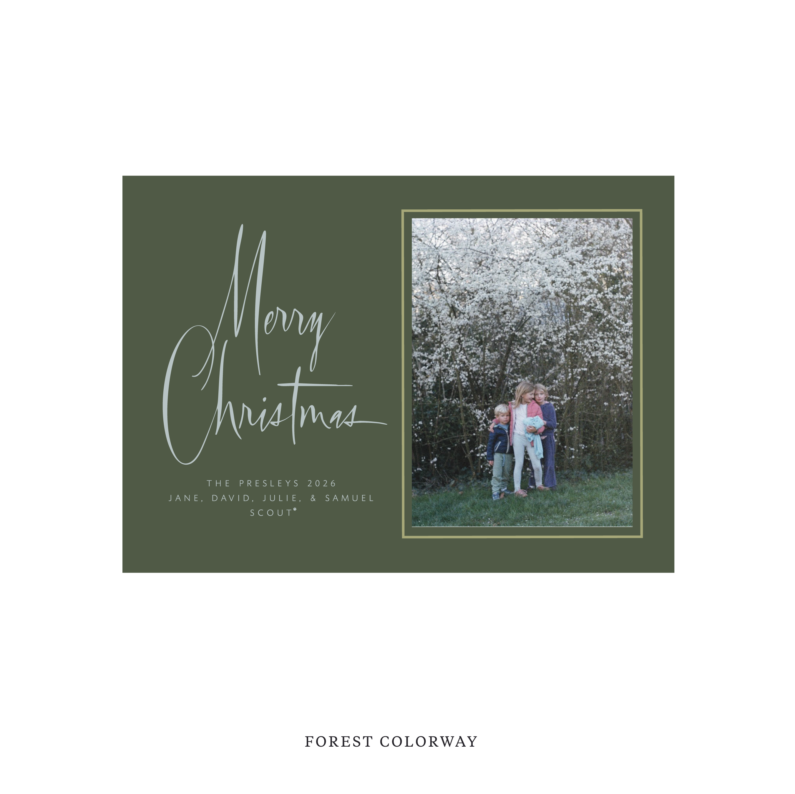 Presley Classic Flat Print Holiday Card, Medium