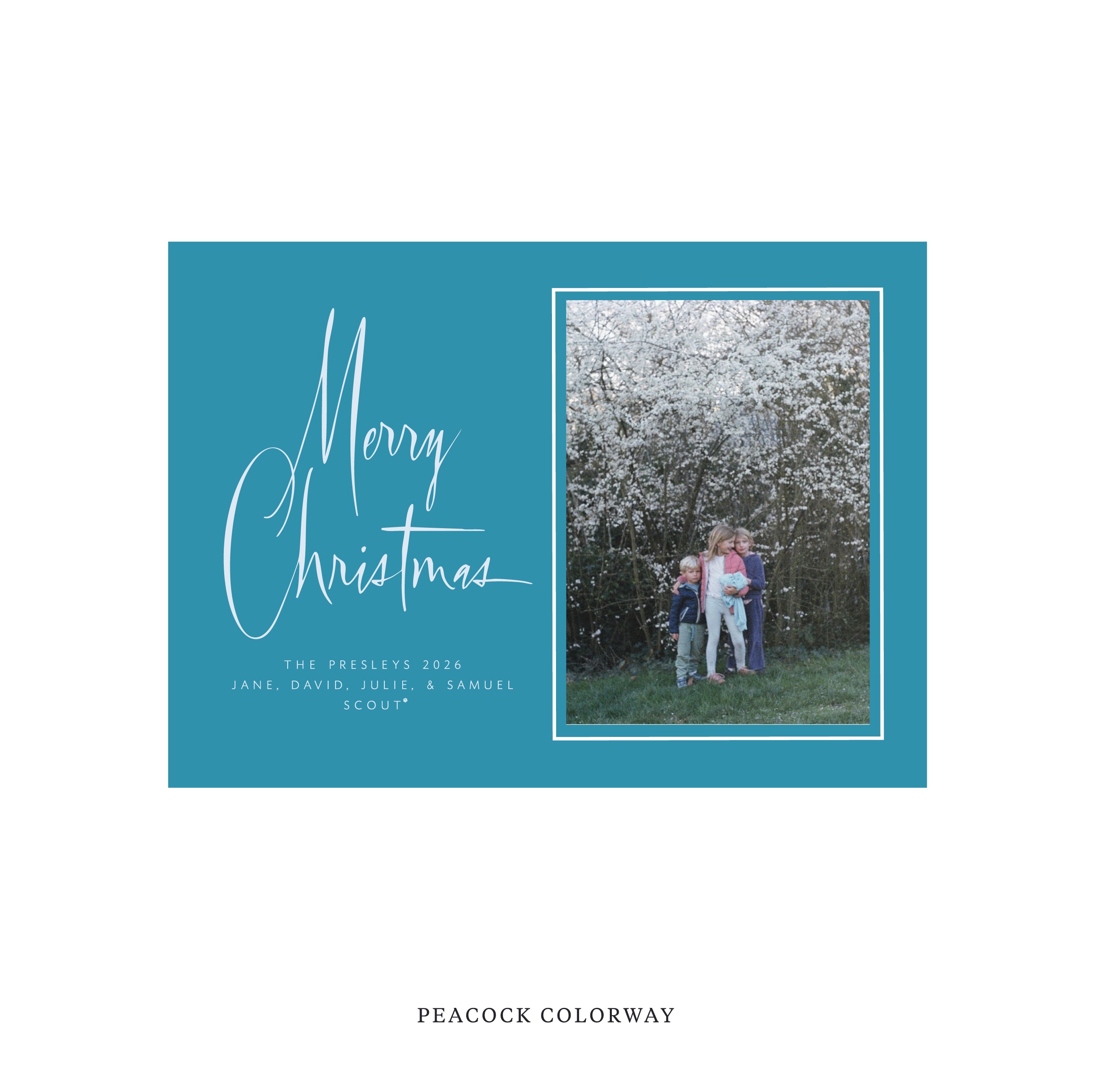 Presley Classic Flat Print Holiday Card, Medium