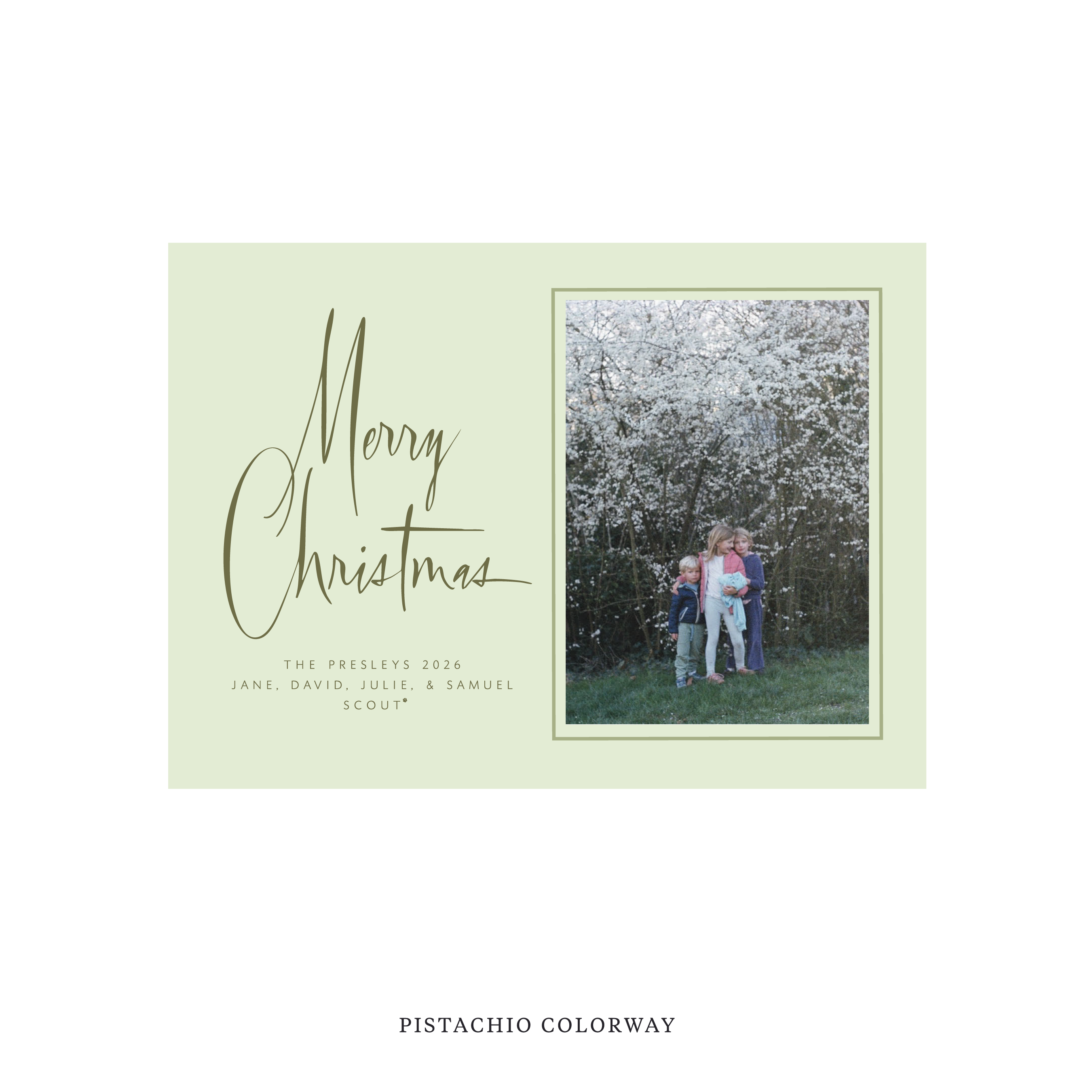 Presley Classic Flat Print Holiday Card, Medium