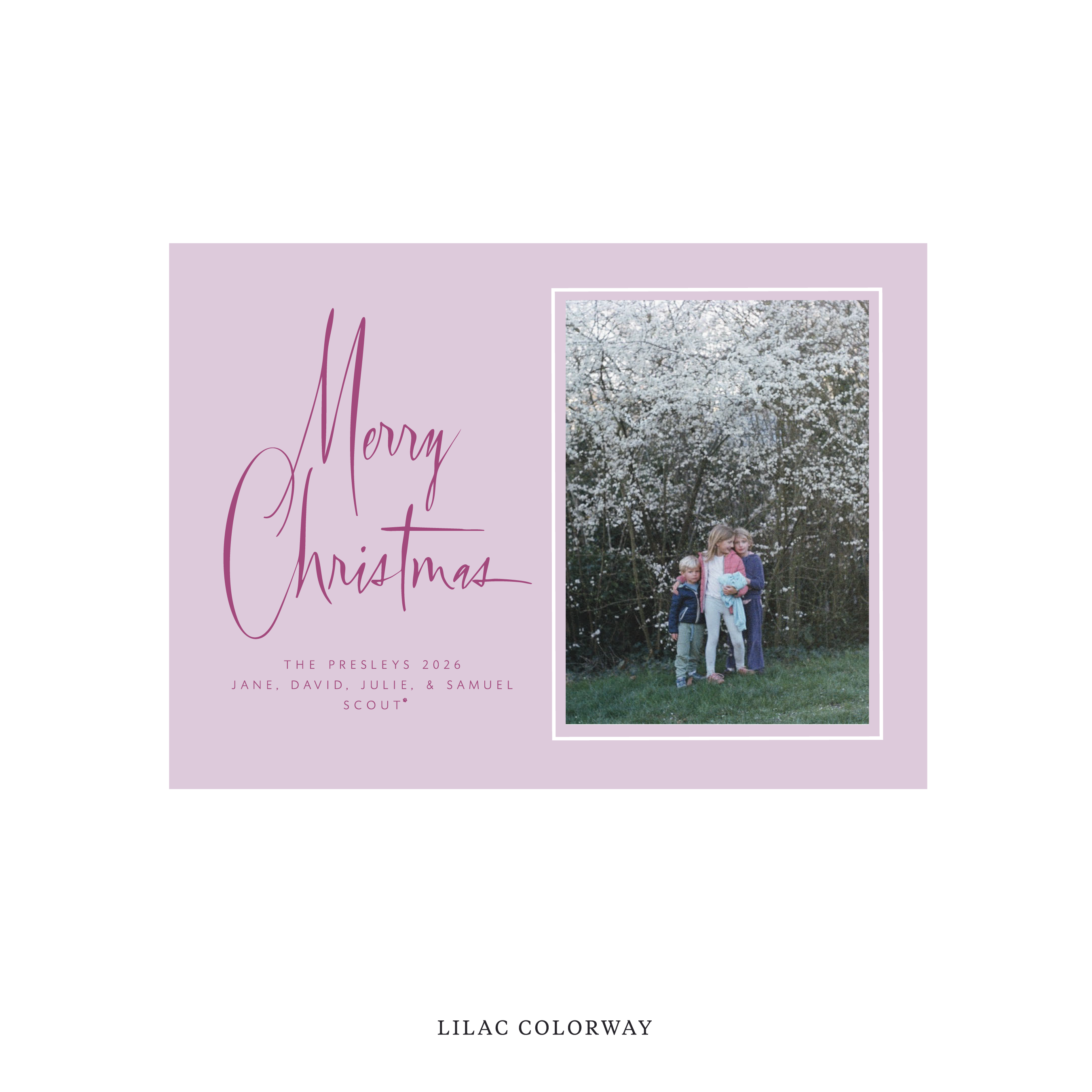 Presley Classic Flat Print Holiday Card, Medium