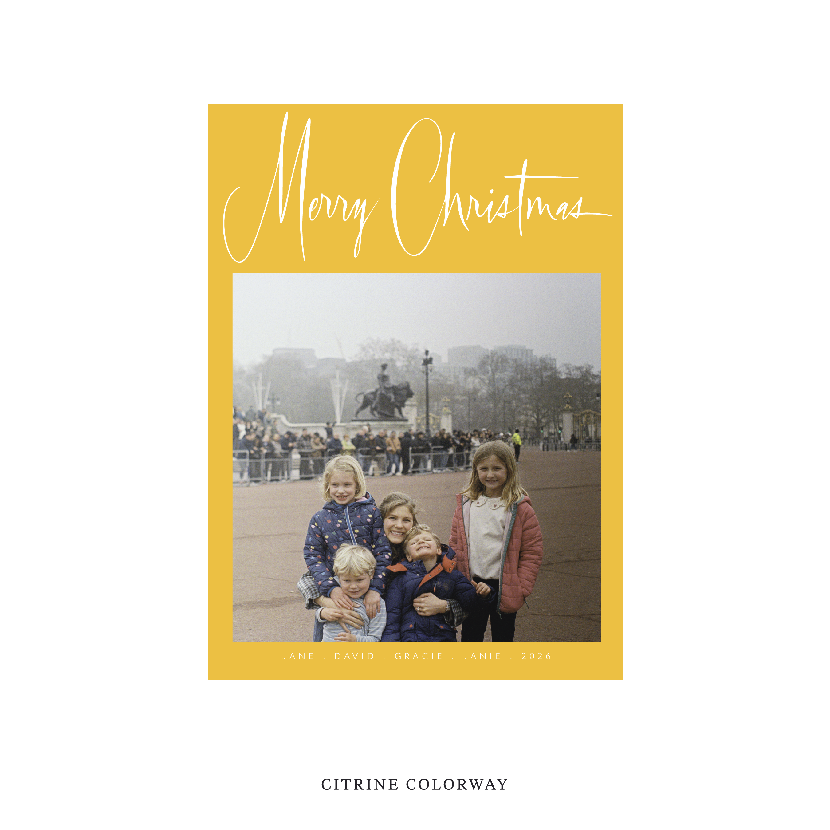 Presley Classic Flat Print Holiday Card, Medium II
