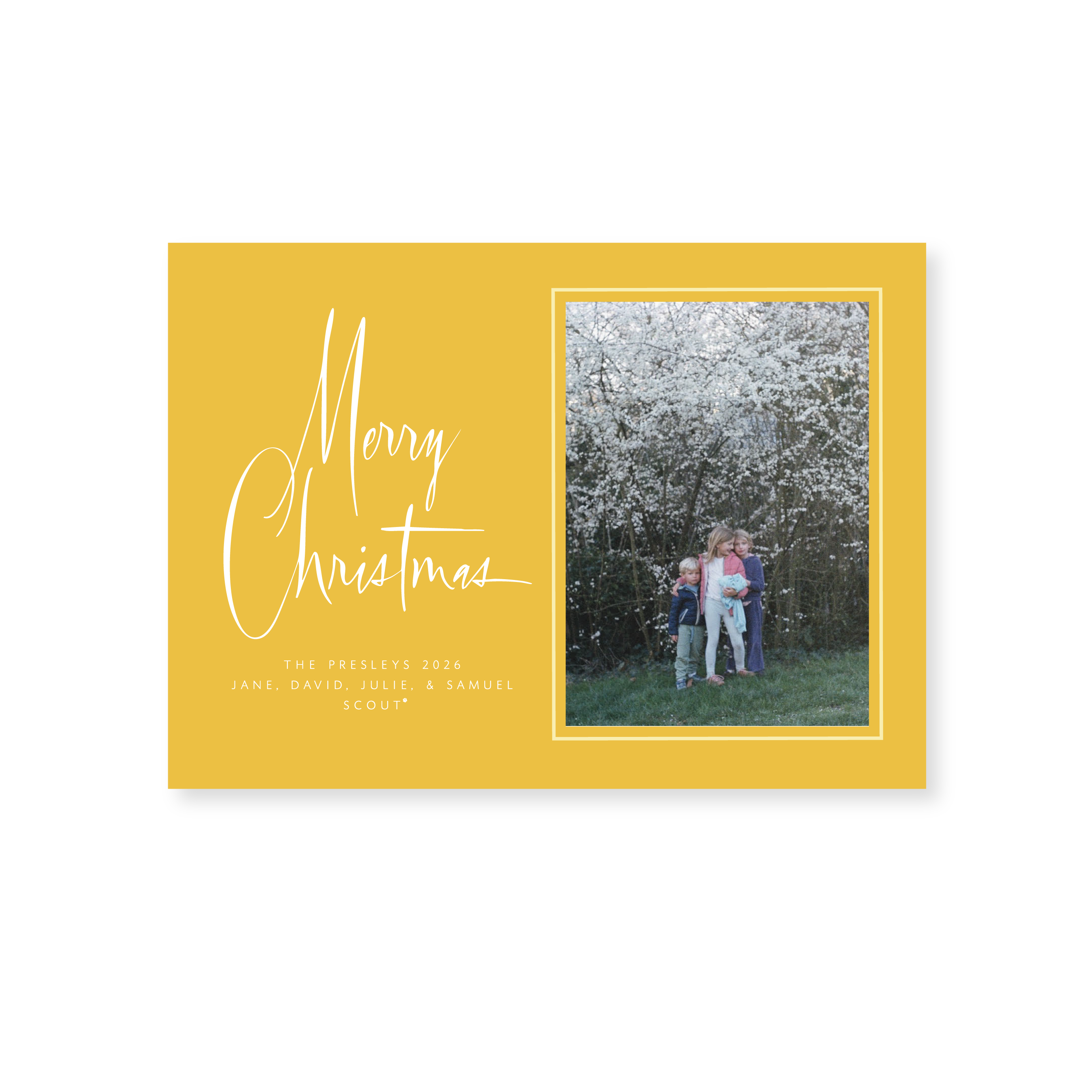 Presley Classic Flat Print Merry Christmas photo mount holiday card featuring original hand-lettered artwork by Stovall Collection.
