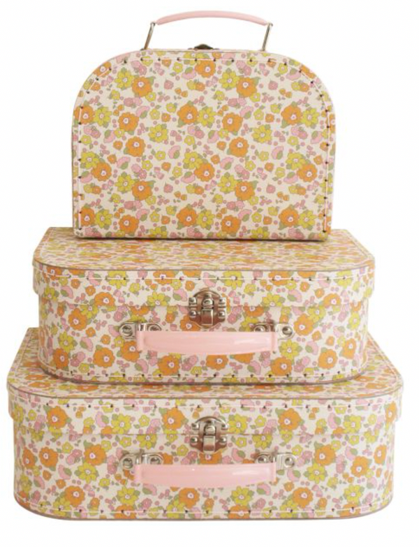 Kids Carry Case Set