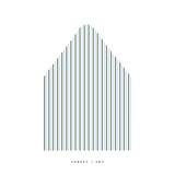 The Stripe Envelope Liner