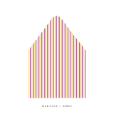The Stripe Envelope Liner