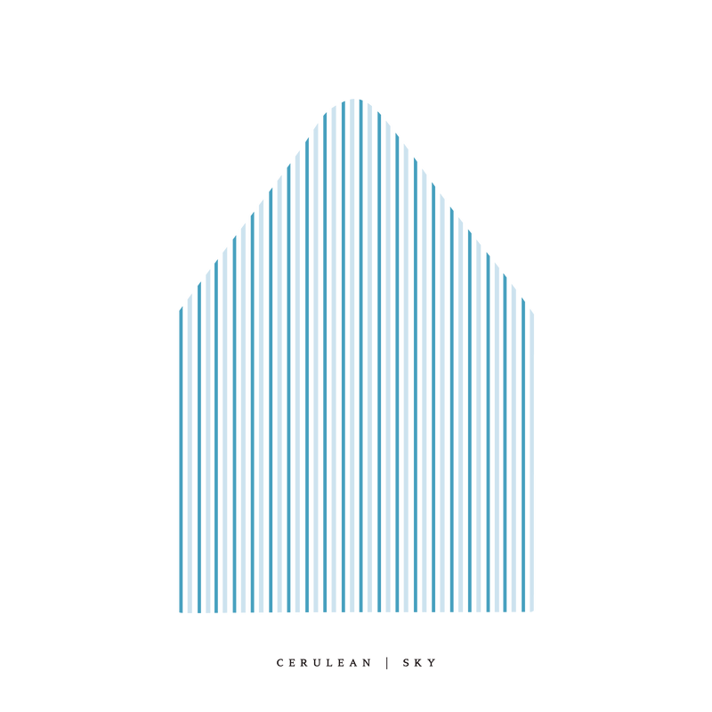 The Stripe Envelope Liner