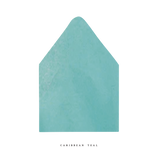 The Luxe Tissue Envelope Liner